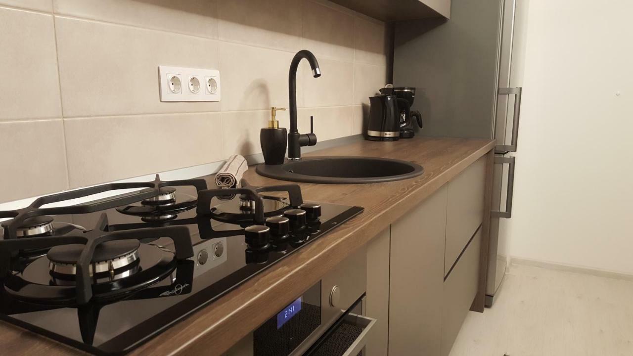 Apartment Alonisos Lux Braşov Extérieur photo