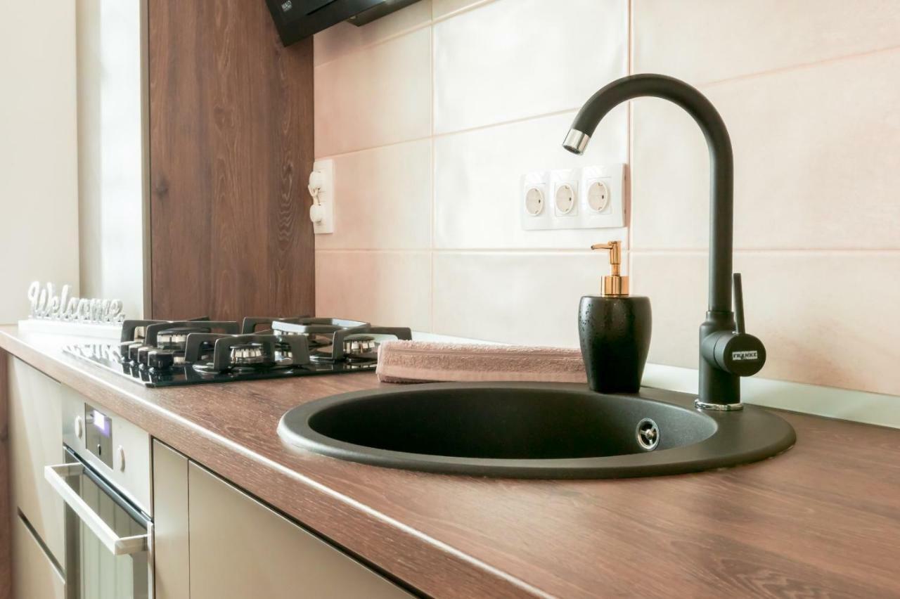 Apartment Alonisos Lux Braşov Extérieur photo